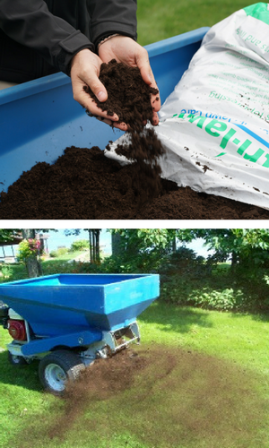 Too much or too little fertilizer?? | Lawn Care Forum